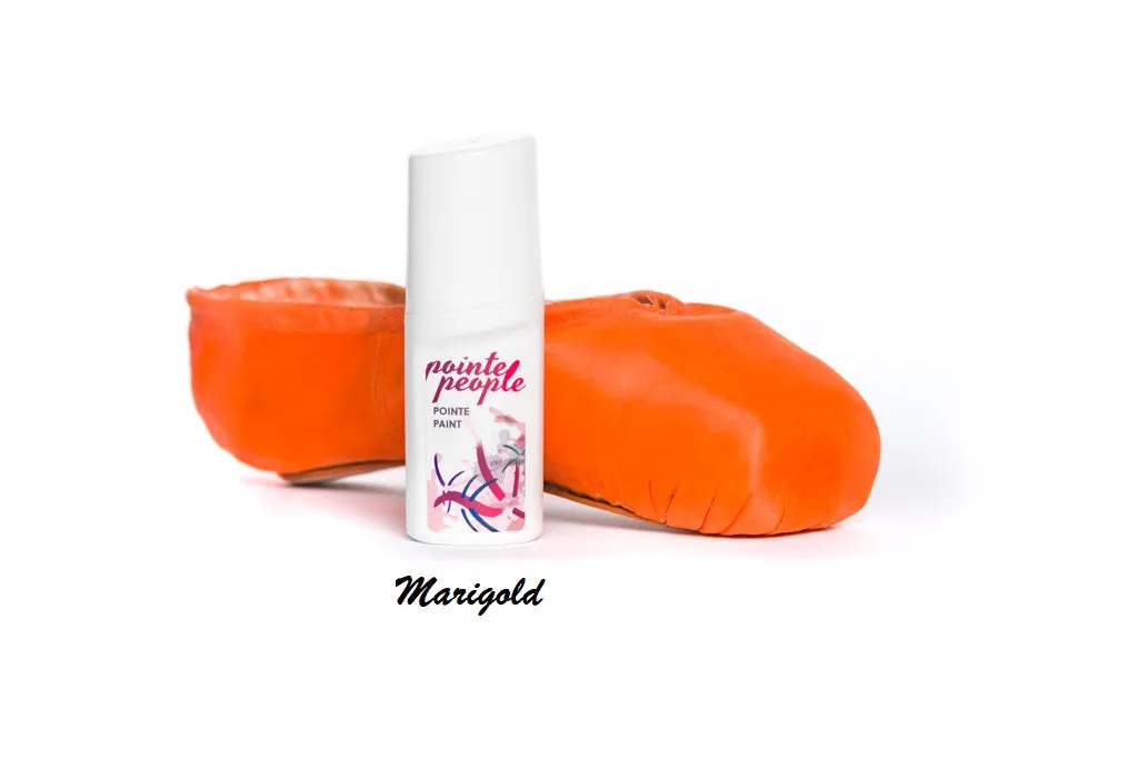 5 Bundle Pack - Pointe Paint