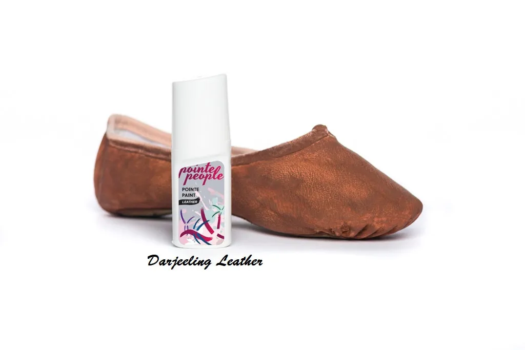 5 Bundle Pack - Pointe Paint