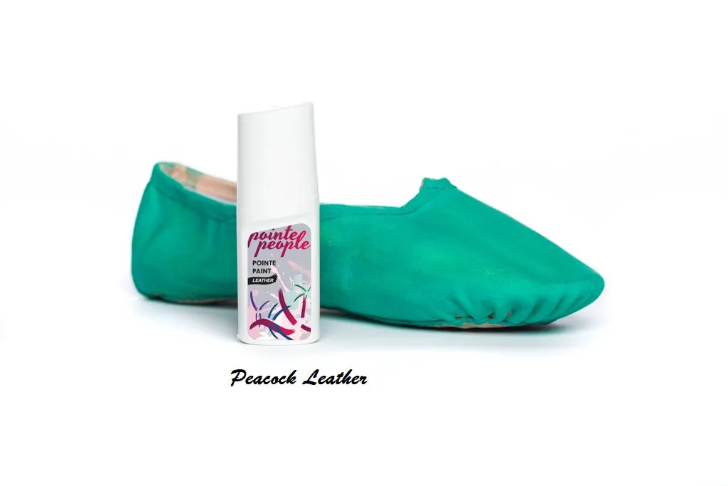 5 Bundle Pack - Pointe Paint