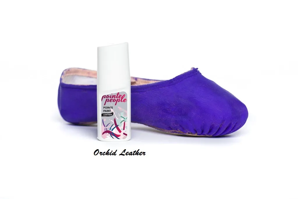 5 Bundle Pack - Pointe Paint