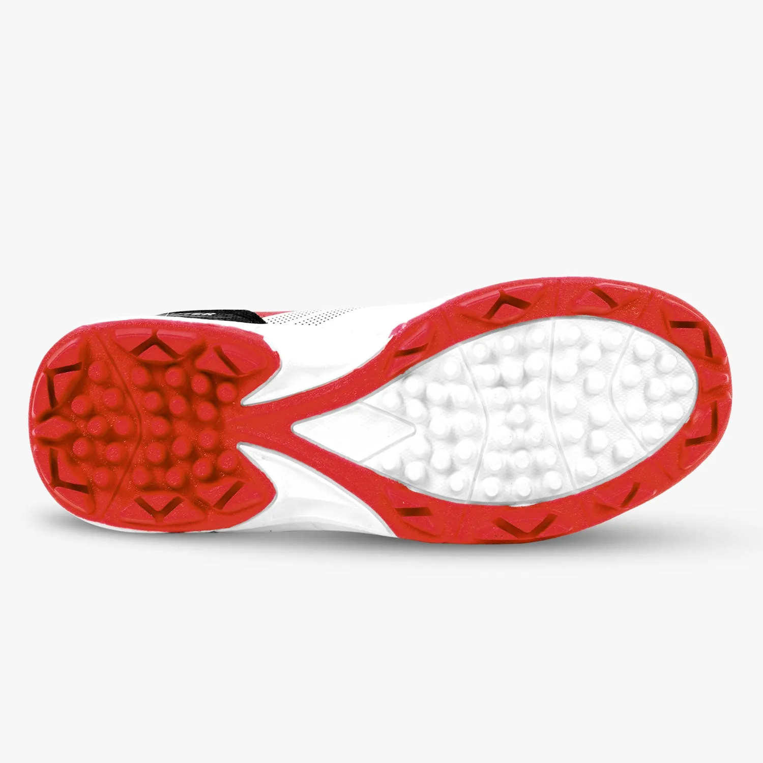DSC Zooter Cricket Shoes