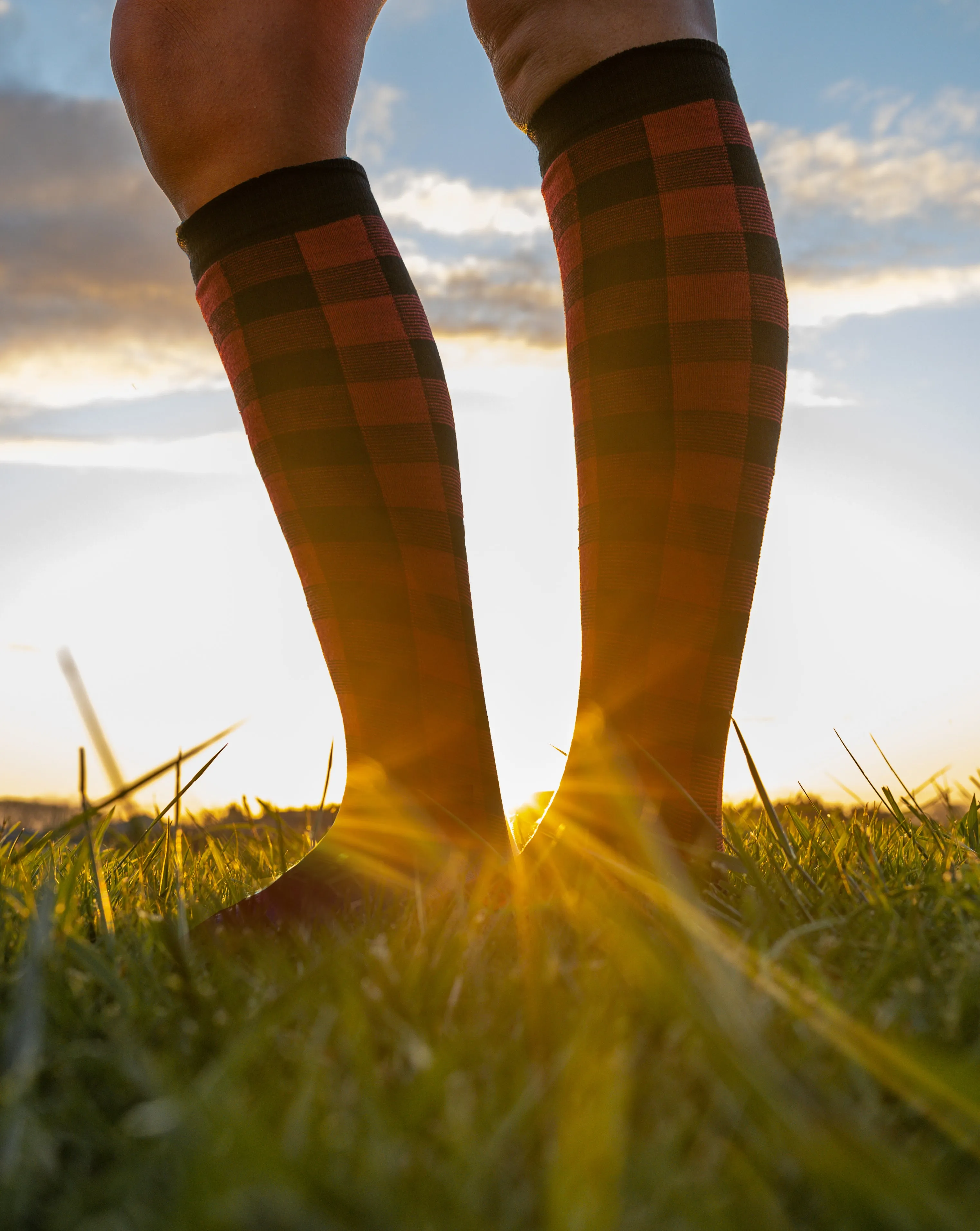 Lamington Knee High Merino Socks