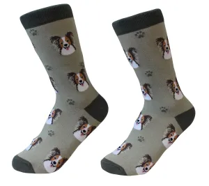 Papillon Dog Socks